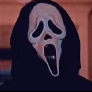 Meet your Posher, Greyson